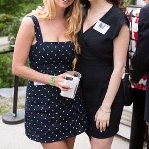 Reformation Brigitte Navy Polka Linen Dress size 4